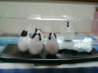 �y���M���̌Q��