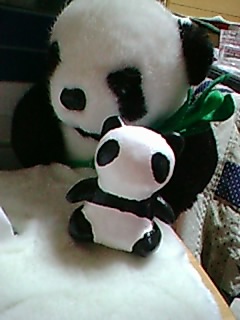 �X�P�L���ς�